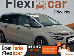 Gris Usado 2018 Citroën C4 SpaceTourer PureTech Monovolumen | 11.490 € (Precio justo)