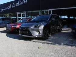 Gris Usado 2020 Lexus NX300h Luxury Line SUV | 33.850 € (Un poco caro)