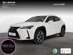 Blanco Usado 2021 Lexus UX SUV | 24.990 € (Precio justo)