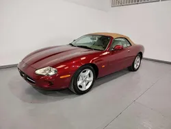 Burdeos Usado 1999 Jaguar XK8 Descapotable | 18.700 €