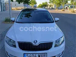 Blanco Usado 2015 Skoda Octavia Ambition Berlina | 11.000 € (Un poco caro)