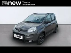 Gris Usado 2022 Fiat Panda Utilitario | 11.400 € (Precio justo)