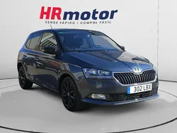 Gris Usado 2019 Skoda Fabia Ambition Berlina | 15.940 € (Caro)