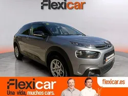 Gris Usado 2019 Citroën C4 Cactus Feel Utilitario | 12.490 € (Un poco caro)
