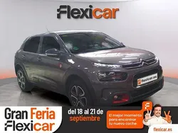 Gris Usado 2020 Citroën C4 Cactus Utilitario | 14.990 € (Un poco caro)