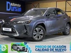 Gris Usado 2022 Lexus UX 300e Business Edition SUV | 26.690 € (Super precio)