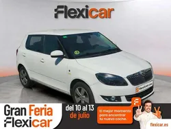 Blanco Usado 2014 Skoda Fabia GreenLine Utilitario | 6890 €