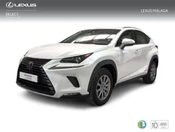 Blanco Usado 2020 Lexus NX300h Business Edition SUV | 31.900 € (Un poco caro)