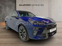 Azul Usado 2024 Cupra Terramar SUV | 37.490 € (Super precio)