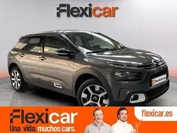 Gris Usado 2019 Citroën C4 Cactus PureTech Utilitario | 13.990 € (Precio justo)