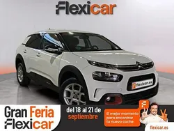 Blanco Usado 2019 Citroën C4 Cactus Feel Utilitario | 12.490 € (Un poco caro)