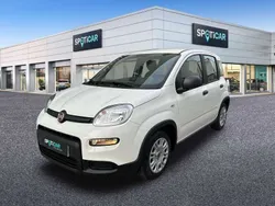 Blanco Usado 2023 Fiat Panda Comfort Utilitario | 12.600 € (Precio justo)