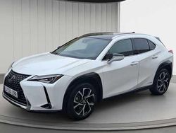 Usado 2021 Lexus UX Business Edition SUV | 26.990 € (Un poco caro)