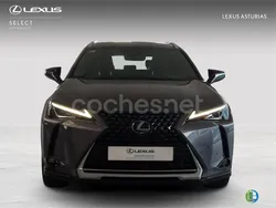 Blanco Usado 2021 Lexus UX SUV | 24.900 € (Precio justo)
