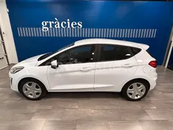 Blanco Usado 2019 Ford Fiesta Trend Utilitario | 14.500 € (Un poco caro)