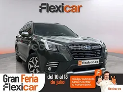 Verde Usado 2023 Subaru Forester SUV | 29.990 € (Precio justo)