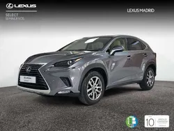 Gris Usado 2019 Lexus NX300h Executive Line SUV | 32.990 € (Un poco caro)