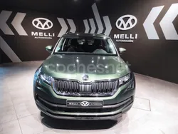 Verde Usado 2021 Skoda Kodiaq Ambition SUV | 26.900 € (Un poco caro)