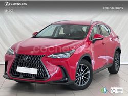 Rojo Usado 2023 Lexus NX350h Business Edition SUV | 45.990 € (Super precio)