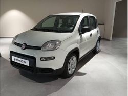 Blanco Usado 2023 Fiat Panda Utilitario | 14.500 € (Caro)