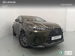 Verde Usado 2024 Lexus NX350h Business Edition SUV | 46.500 €