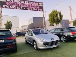 Gris Usado 2007 Peugeot 307 Utilitario | 2499 € (Super precio)