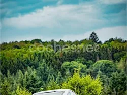 Gris / plata Usado 2019 Ford Mustang GT Coupe | 47.750 € (Un poco caro)