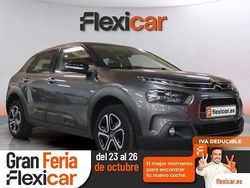 Gris Usado 2019 Citroën C4 Cactus Feel Utilitario | 11.990 € (Precio justo)