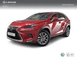 Rojo Usado 2018 Lexus NX300h Executive Line SUV | 32.900 € (Un poco caro)