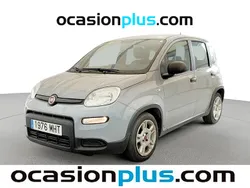 Gris Usado 2023 Fiat Panda Utilitario | 10.000 € (Buen precio)
