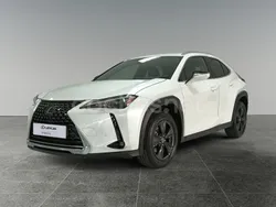 Blanco Usado 2024 Lexus UX SUV | 36.990 € (Caro)