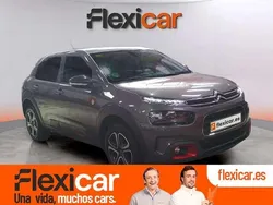 Gris Usado 2020 Citroën C4 Cactus Utilitario | 14.090 € (Precio justo)