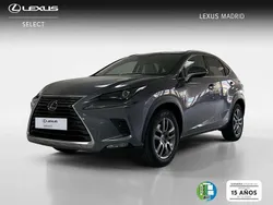 Gris Usado 2019 Lexus NX300h Executive Line SUV | 32.990 € (Un poco caro)
