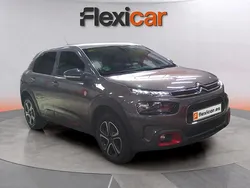 Gris Usado 2020 Citroën C4 Cactus Utilitario | 13.790 € (Precio justo)