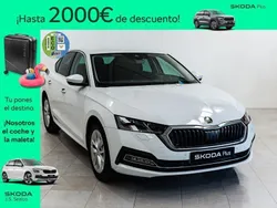 Blanco Nuevo 2024 Skoda Octavia Ambition Berlina | 27.490 € (Buen precio)