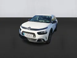 Otro Usado 2019 Citroën C4 Cactus Shine Utilitario | 16.100 €