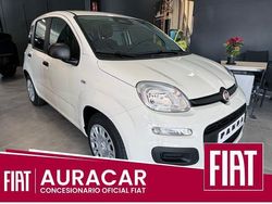 Blanco Nuevo 2025 Fiat Panda Icon Berlina | 16.000 € (Precio justo)
