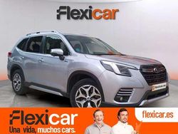 Gris Usado 2023 Subaru Forester SUV | 23.890 € (Precio justo)