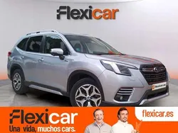 Gris Usado 2023 Subaru Forester SUV | 24.090 € (Buen precio)