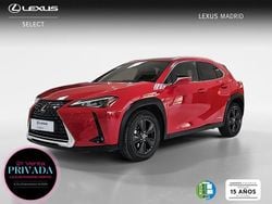 Rojo Usado 2021 Lexus UX Business Edition SUV | 26.995 € (Precio justo)