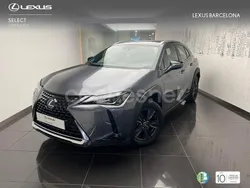 Gris / plata Usado 2021 Lexus UX Business Edition SUV | 25.900 € (Precio justo)