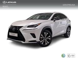 Blanco Usado 2020 Lexus NX300h SUV | 34.900 € (Precio justo)