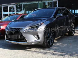 Gris / plata Usado 2020 Lexus NX300h Luxury Line SUV | 33.850 € (Precio justo)