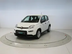 Blanco Usado 2024 Fiat Panda Utilitario | 13.500 € (Precio justo)