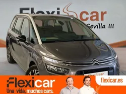 Gris Usado 2020 Citroën C4 Feel | 13.490 € (Precio justo)