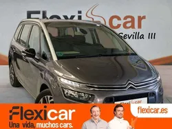 Gris Usado 2020 Citroën C4 SpaceTourer Origins Monovolumen | 11.990 € (Buen precio)