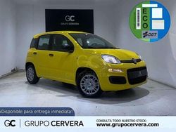 Amarillo Nuevo 2025 Fiat Panda Icon Utilitario | 14.990 € (Precio justo)