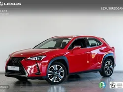 Rojo Usado 2021 Lexus UX 250h SUV | 28.900 € (Un poco caro)
