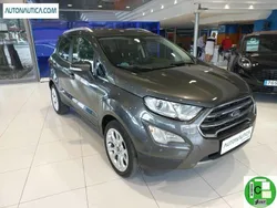 Gris Usado 2020 Ford Ecosport Titanium SUV | 18.900 € (Caro)