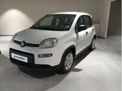 Blanco Usado 2023 Fiat Panda Utilitario | 14.500 € (Caro)
